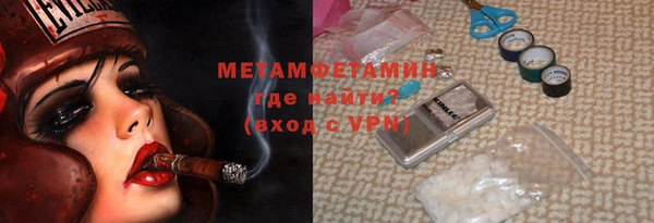 прущие грибы Вязники
