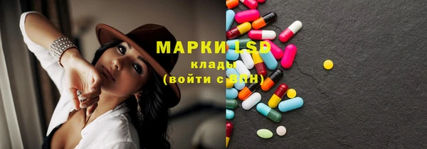 прущие грибы Вязники