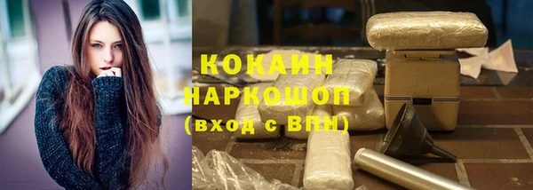 прущие грибы Вязники