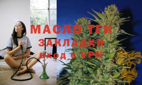прущие грибы Вязники