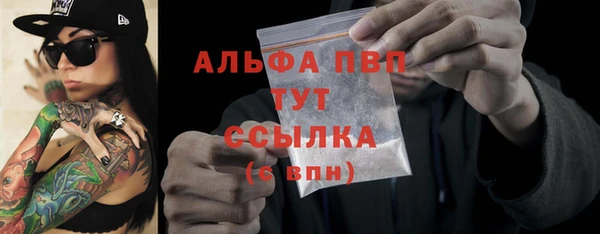 прущие грибы Вязники