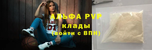 прущие грибы Вязники