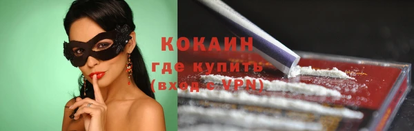 прущие грибы Вязники