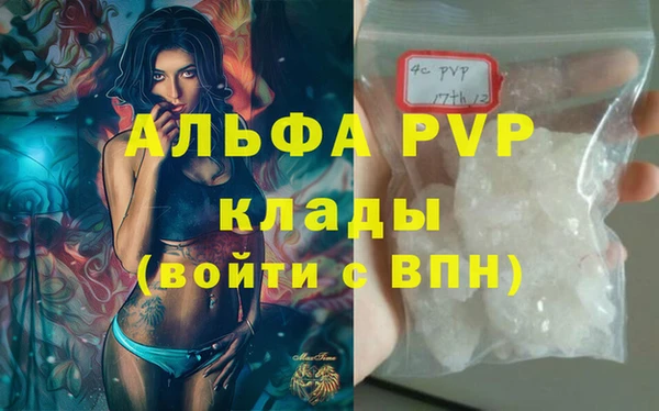 прущие грибы Вязники