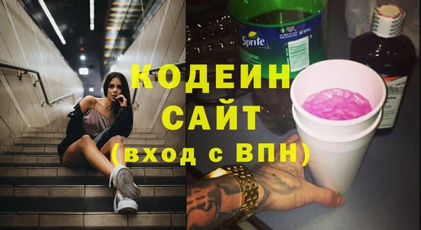 прущие грибы Вязники