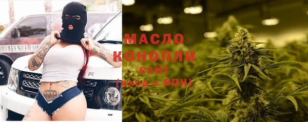 прущие грибы Вязники