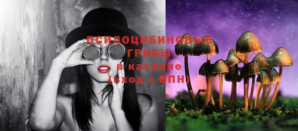 прущие грибы Вязники
