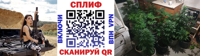Марихуана THC 21%  Купить  Суздаль 